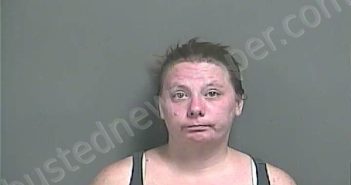 JOHNSON, MANDA L | 2024-08-11 21:29:00 Knox County, Indiana Booking