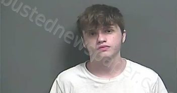 YOUNG, DYLAN MICHAEL | 2024-08-11 00:04:00 Knox County, Indiana Booking