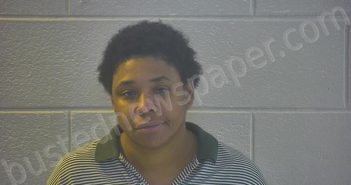 <B>PRUITT</B>, <B>CASWELLA</B> <B>D</B> #, Pulaski County, Kentucky - 2024-08-11 01:23:00