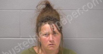 TORRES, KATHRYN A | 2024-08-11 15:43:00 Will County, Illinois Booking