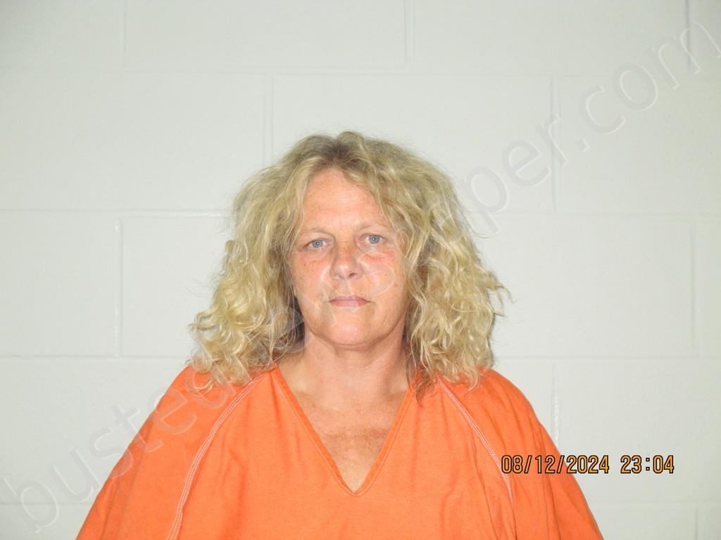 HUTCHISON, CANDI JO #, Shackelford County, Texas - 2024-08-12 22:53:00