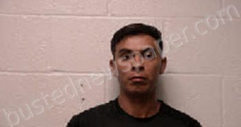 <B>VARGAS</B> <B>PONCE</B>, <B>LUIS</B> <B>ORLANDO</B> #, Robertson County, Tennessee - 2024-08-12 17:01:00