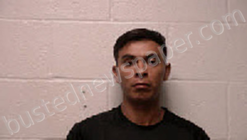 VARGAS PONCE, LUIS ORLANDO #, Robertson County, Tennessee - 2024-08-12 17:01:00