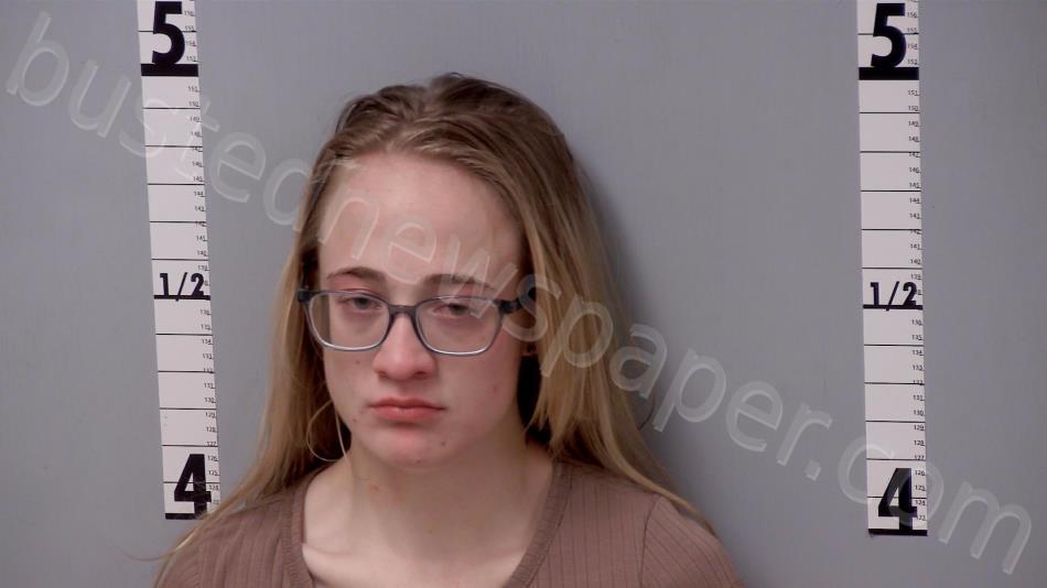 SHIVELY, ELIZABETH JO #, Gratiot County, Michigan - 2024-08-12 11:58:00