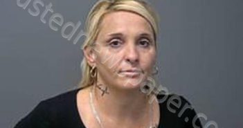 LISA ANN ROTHMAN | 2024-08-12 12:30:00 Baxter County, Arkansas Booking