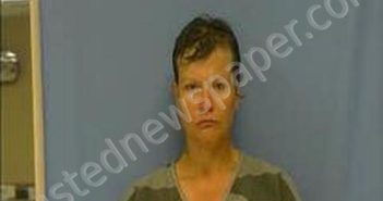 SHELIA EVERETT | 2024-08-13 12:07:00 Saline County, Arkansas Booking