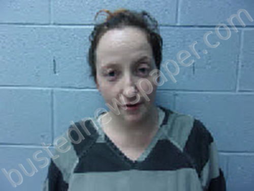 POTTER, JESSICA LEIGH #, Grainger County, Tennessee - 2024-08-13 12:48:00