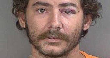 <B>DAWSON</B>,<B>DAVID</B> DANIEL #, Collier County, Florida - 2024-08-13