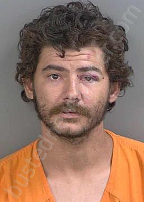 DAWSON,DAVID DANIEL #, Collier County, Florida - 2024-08-13