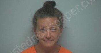 NICOLE JAMISON MCBRIDE | 2024-08-13 23:38:55 Beaufort County, South Carolina Booking