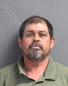 LORENZO, SALAZAR | 2024-08-13 13:14:00 Volusia County, Florida Booking