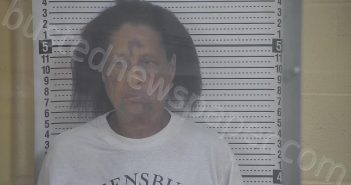 COBB, GRETCHEN | 2024-08-13 15:44:00 Taylor County, Kentucky Booking