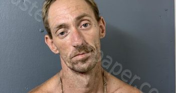 RUPERT, ANDREW MICHAEL | 2024-08-14 04:18:00 Hardee County, Florida Booking