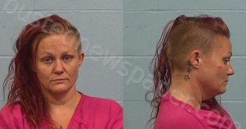 <B>WEAHERBEE</B>, <B>JULIA</B> <B>REGINA</B> #, Williamson County, Texas - 2024-08-14