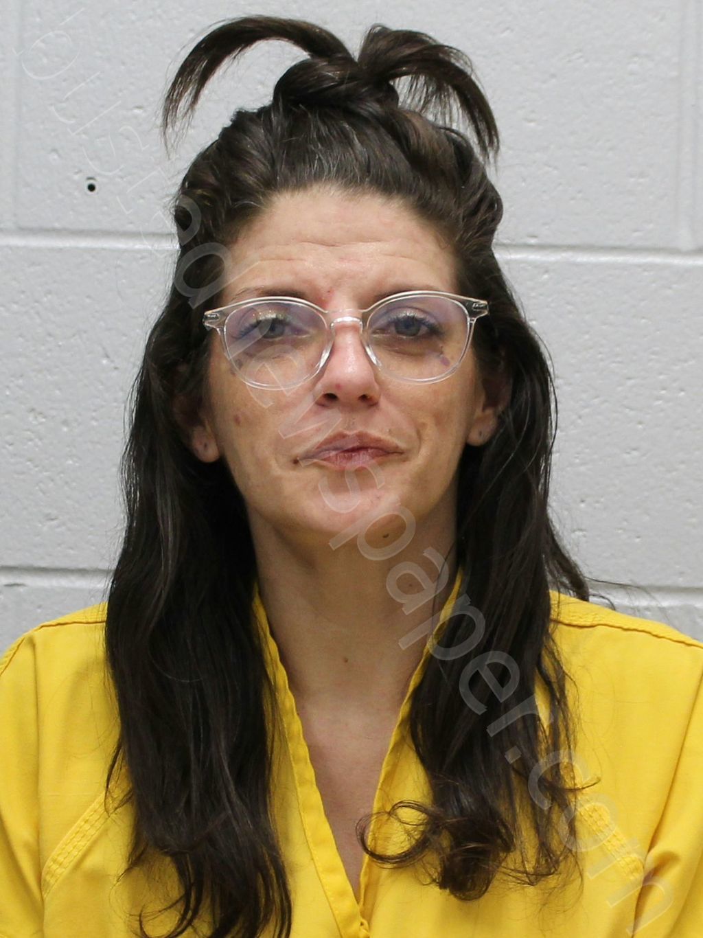 DUERING, BRANDI NICOLE #, Franklin County, Illinois - 2024-08-14 20:00:00