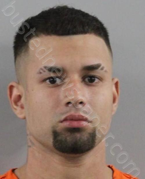 IRLANDA, ALEX JAVIER DE JESUS #, Polk County, Florida - 2024-08-15
