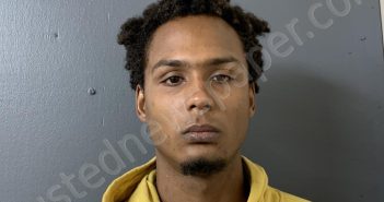 YOUNG, ANTHONY | 2024-08-15 00:26:00 Hardee County, Florida Booking