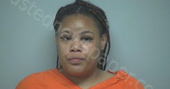 STARDAISHA RAIGENE RICHARDSON | 2024-08-15 17:40:56 Beaufort County, South Carolina Booking