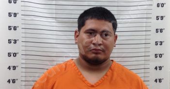 MARTINEZ, JOSE AMAYA | 2024-08-15 14:18:00 Pickens County, Georgia Booking