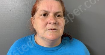 PARRISH, DORIS ANN | 2024-08-15 18:19:00 Hardee County, Florida Booking
