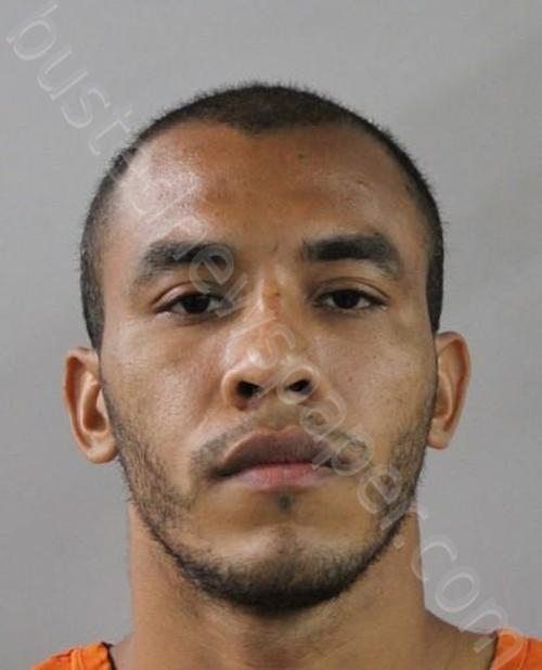 MATA VARGAS, ORLANDO RANIEL #, Polk County, Florida - 2024-08-15