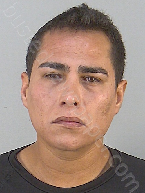 JAVIER DE JESUS COPADO LOAIZA #, Lake County, Florida - 2024-08-16 19:43:00