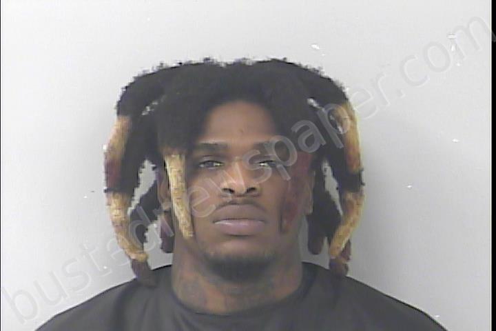 NICHOLSON, THOMAS ALEX #, St. Lucie County, Florida - 2024-08-16 01:50:00
