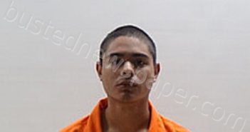 CASTELLANOS CARLOS ALBERTO | 2024-08-16 Cameron County, Texas Booking