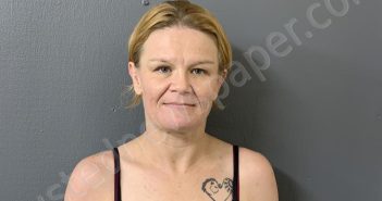WILLIAMS, CRYSTAL GAIL | 2024-08-16 14:25:00 Hardee County, Florida Booking