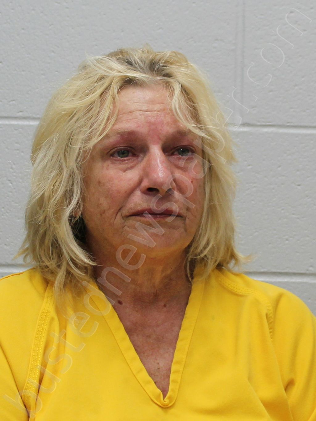 SYSAK, CINDY LEE #, Franklin County, Illinois - 2024-08-16 20:00:00