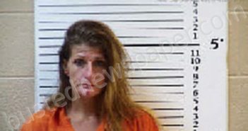 BRYSON, SAVANNAH MARIE | 2024-08-16 20:39:00 Cherokee County, North Carolina Booking