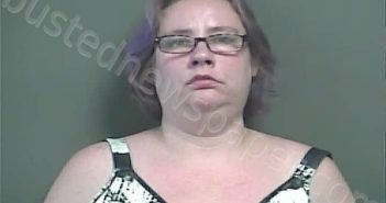 RICHARDSON, ALANA HOPE | 2024-08-16 12:02:56 Knox County, Indiana Booking