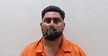 NAVARRO MARTINEZ LUIS ALFREDO | 2024-08-16 Cameron County, Texas Booking