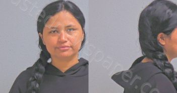 <B>ALCALA</B>, <B>LIZBETH</B> <B>AVIRAM</B> <B>LOPEZ</B> #, Hidalgo County, Texas - 2024-08-16