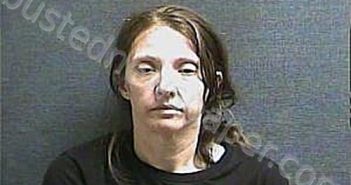 BEECH, SARAH ANNE | 2024-08-17 00:02:00 Boone County, Kentucky Booking