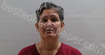 MALDONADO DIANA | 2024-08-17 Cameron County, Texas Booking