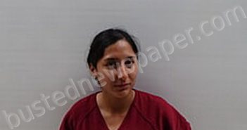 LOPEZ LUISA FERNANDA | 2024-08-18 Cameron County, Texas Booking