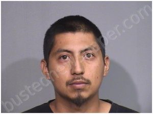 ESTEBAN-MENDOZA, MARIO | 2024-08-19 14:00:00 Mchenry County, Illinois, McHenry County, Illinois Booking