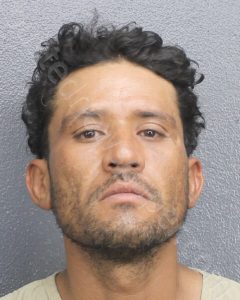 GUERERE VEGA, EDILBERTO ANTONIO | 2024-08-19 Broward County, Florida Booking