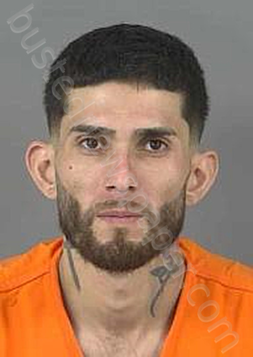 MARTINEZALVARADO,MIGUEL #, Collier County, Florida - 2024-08-19
