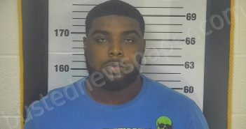BAILEY, TEON’TE DAMOND | 2024-08-19 16:26:00 Ottawa County, Ohio Booking