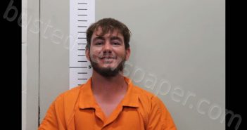 PATTERSON, <B>MASON</B> <B>TYLER</B> #, Chilton County, Alabama - 2024-08-19 00:28:00