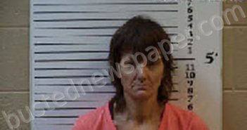 HOLLOWAY, SABRINA JOANN | 2024-08-20 03:28:00 Cherokee County, North Carolina Booking