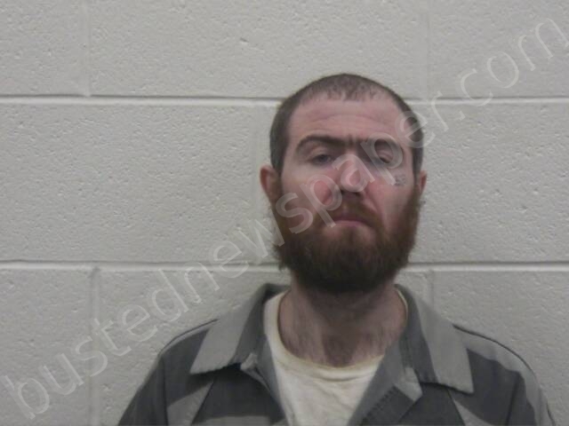 MORGAN, CHRISTOPHER TAYLOR ROGER #, Loudon County, Tennessee - 2024-08-20 04:13:00