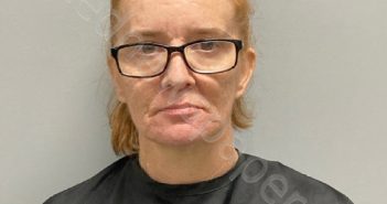 SANDY JENEVA PULFREY | 2024-08-20 16:20:00 Henry County, Virginia Booking