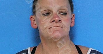 CASEY, CHRISTINA D | 2024-08-21 12:20:47 Sullivan County, Tennessee Booking