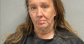 HEATHER NICOLE HARRIS | 2024-08-21 19:35:00 Henry County, Virginia Booking