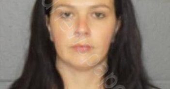 IRIMESCU, IRINA J | 2024-08-21 15:39:00 Delaware County, New York Booking