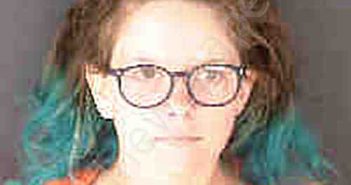 <B>BROWN</B>, <B>MEGAN</B> <B>RENEE</B> #, Sarasota County, Florida - 2024-08-22