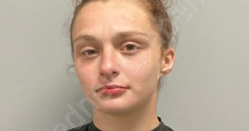 SIERRA ROSE DICKERSON | 2024-08-22 Henry County, Virginia Booking